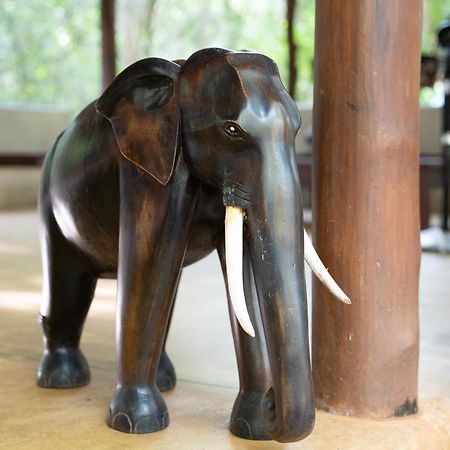 Kaala Kalaththewa Luxury Eco Resort Anuradhapura Eksteriør bilde