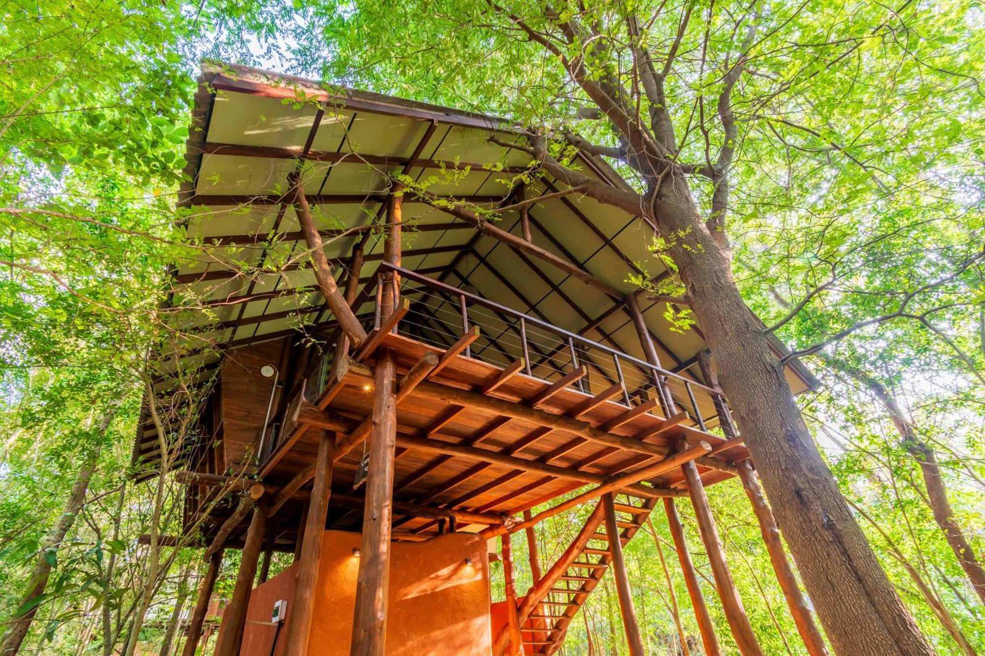 Kaala Kalaththewa Luxury Eco Resort Anuradhapura Eksteriør bilde