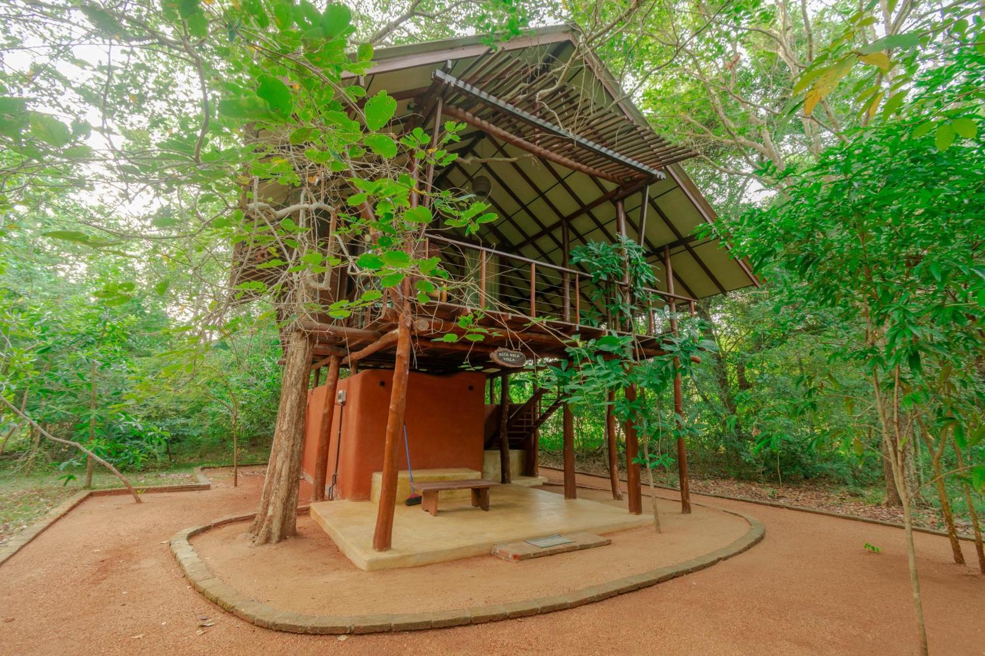 Kaala Kalaththewa Luxury Eco Resort Anuradhapura Eksteriør bilde