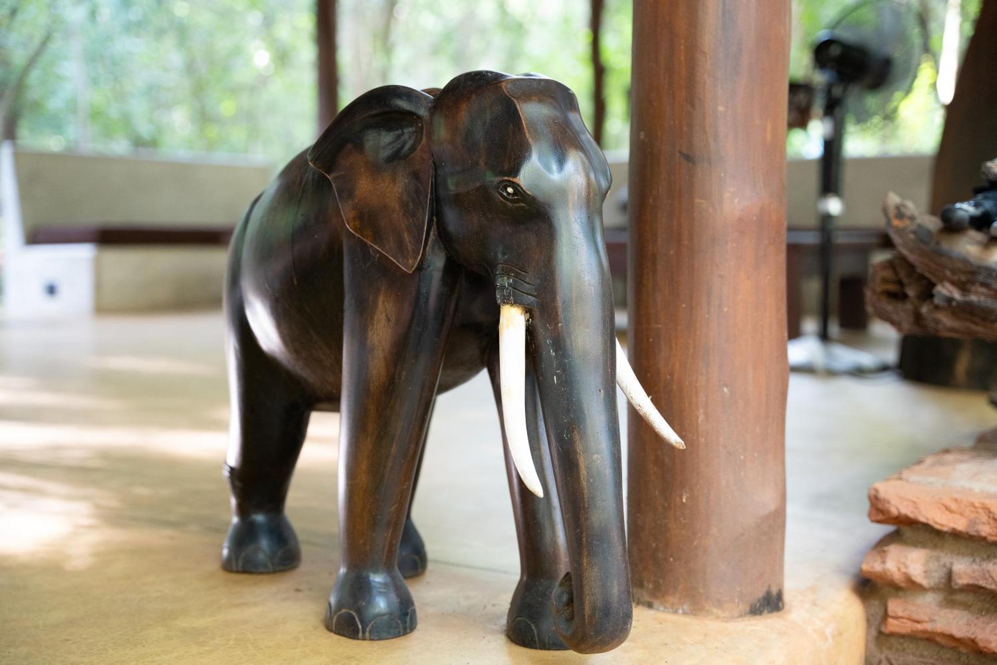 Kaala Kalaththewa Luxury Eco Resort Anuradhapura Eksteriør bilde